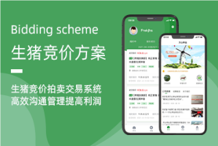 生豬競價系統——創新銷售模式，提升行業效率